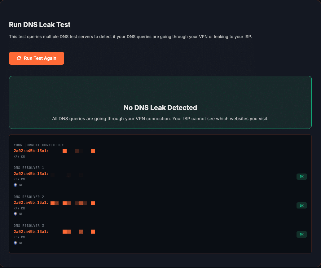 DNS leak test showing no leak - all DNS queries routed through VPN
